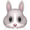 \bunny