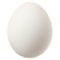 \egg